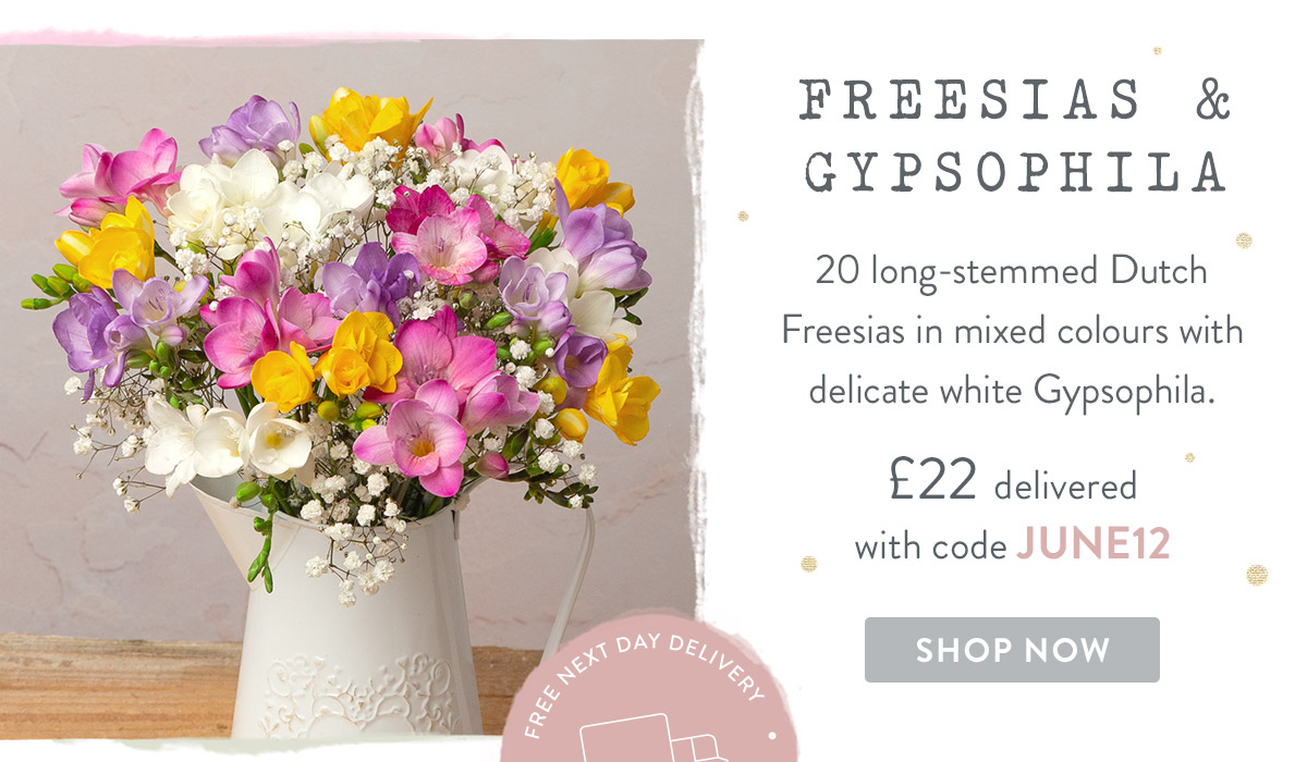 Freesias and Gypsophila - only &pound;22 delivered