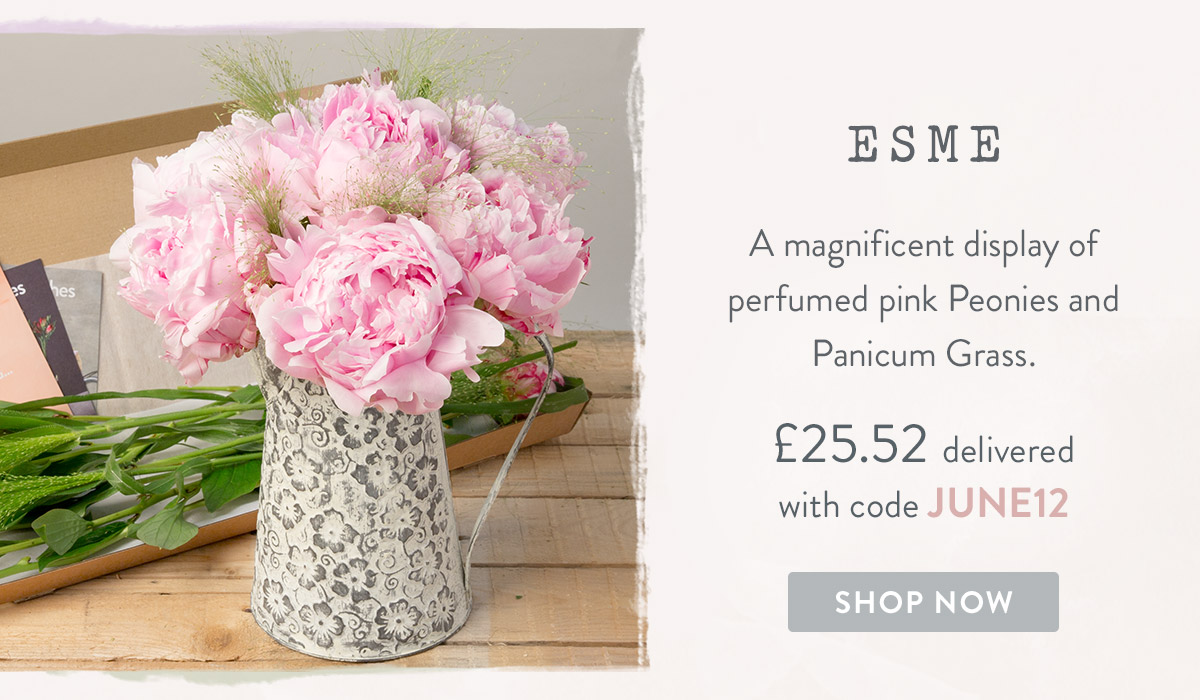 Esme - only &pound;25.52 delivered