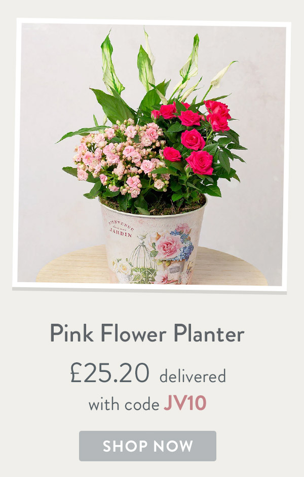 Pink Flower Planter - only &pound;25.20 delivered