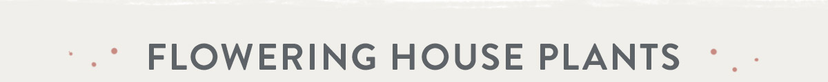 Flowering House Plants
