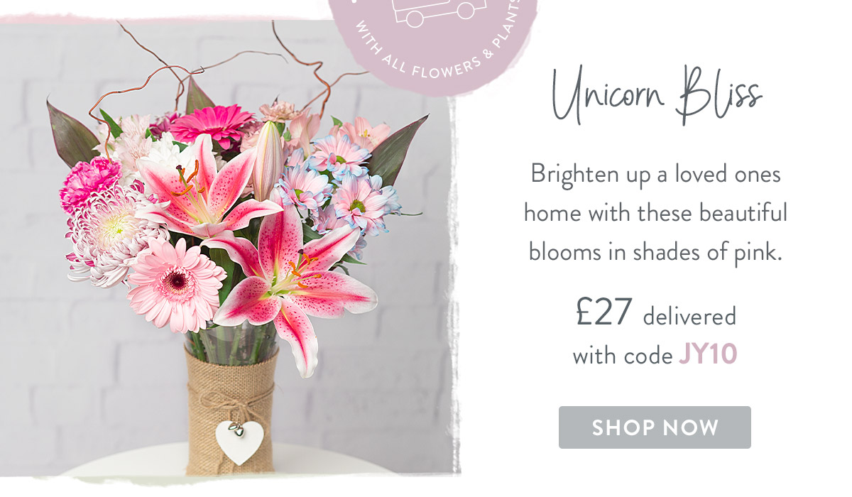 Unicorn Bliss - only &pound;27 delivered