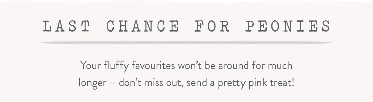 Last chance for Peonies