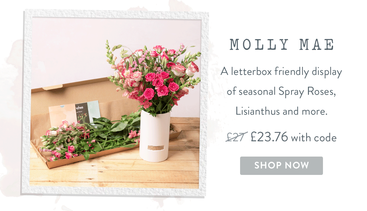 Molly Mae - only &pound;23.76