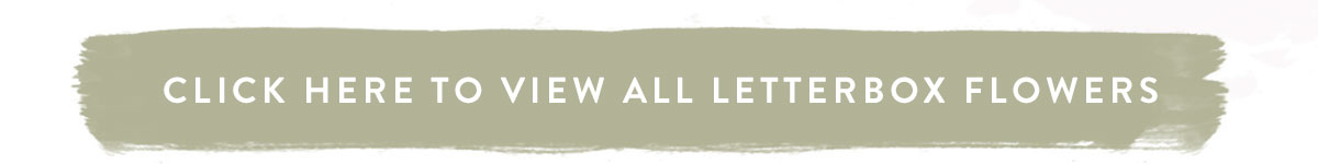 Click here to view all letterbox flowers