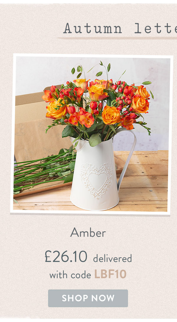 Amber - Only &pound;26.10 delivered with code