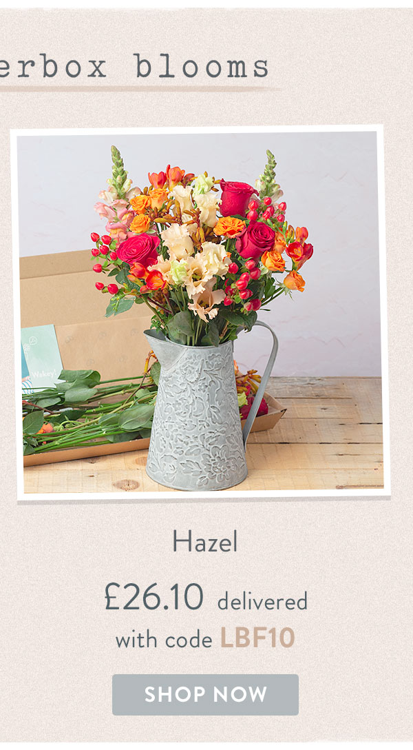 Hazel - Only &pound;26.10 delivered with code