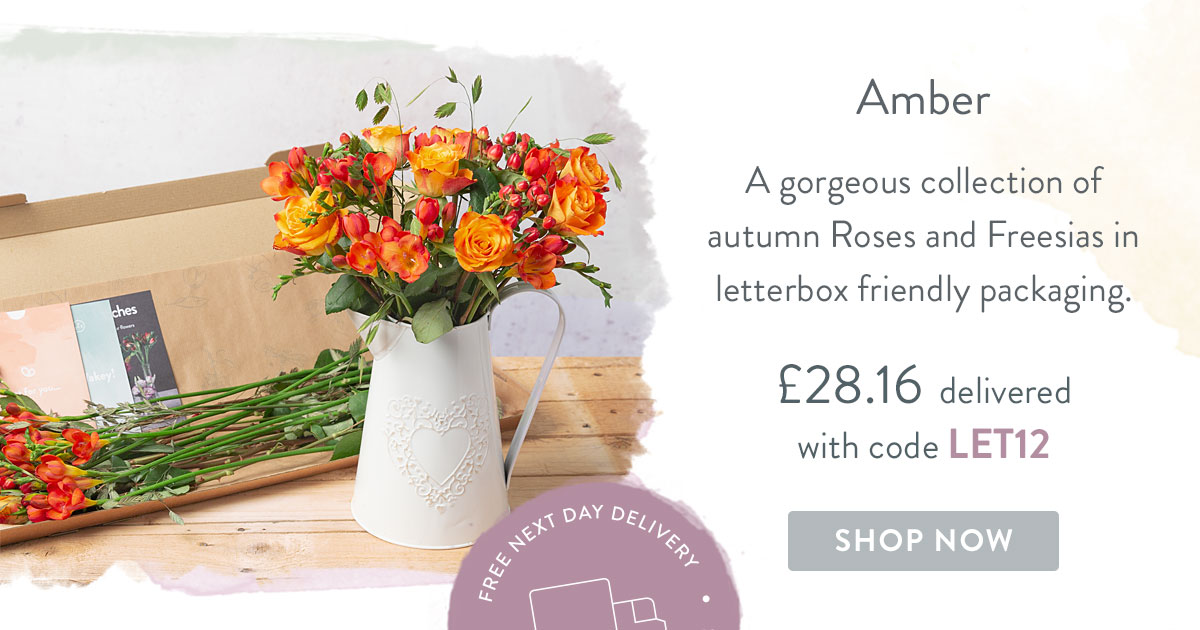 Amber - Only &pound;28.16 delivered with code