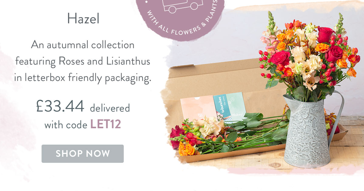 Hazel - Only &pound;33.44 delivered with code