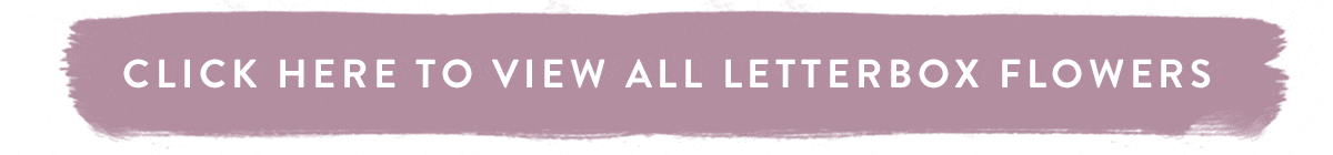 Click here to view all Letterbox Flowers