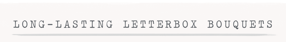 Long-Lasting Letterbox Bouquets
