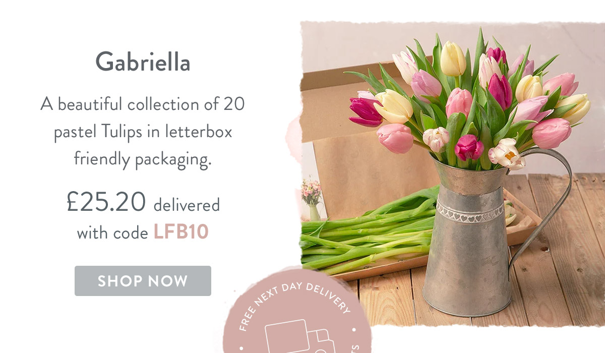 Gabriella - only &pound;25.20 delivered