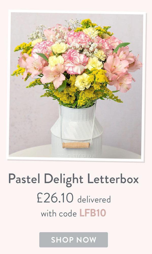 Pastel Delight Letterbox - only &pound;26.10 delivered