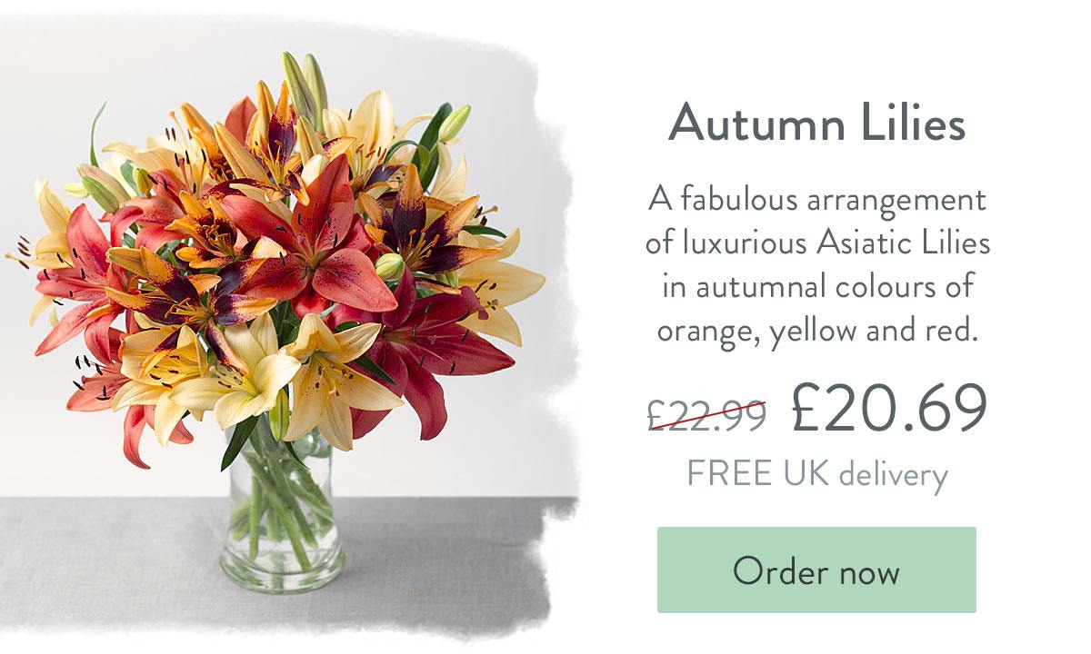 Autumn Lilies - Only &pound;20.69