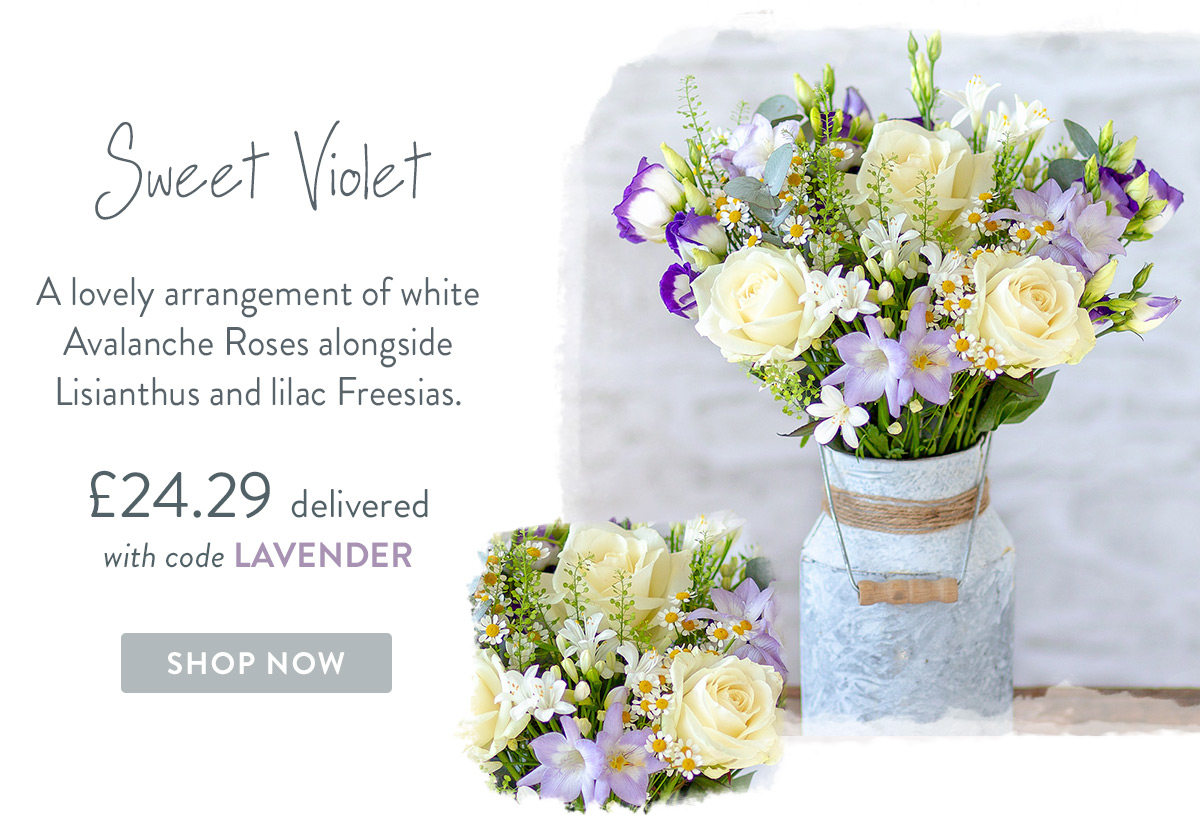 Sweet Violet - only &pound;24.29