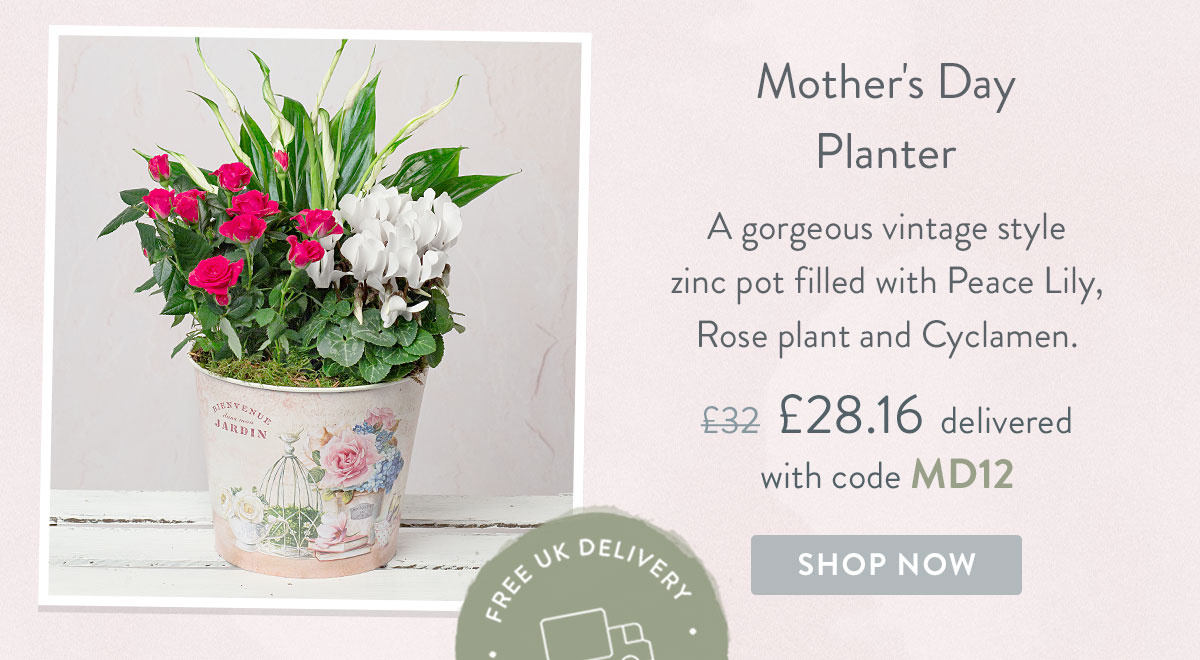Mother's Day Planter - only &pound;28.16 with promo code