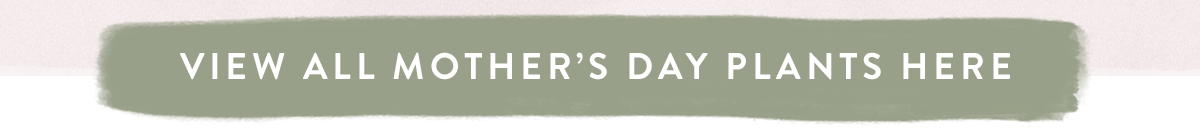 Click here to view all Mother's Day Plants