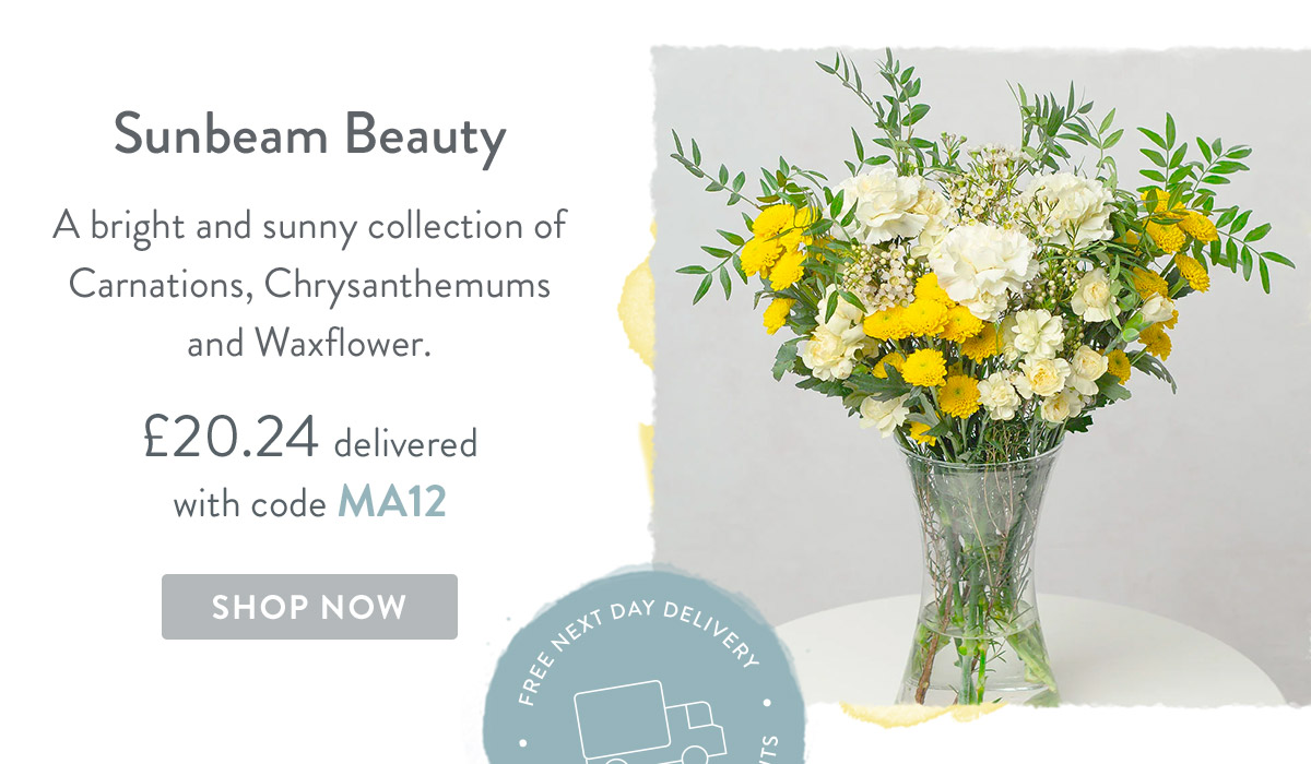 Sunbeam Beauty - only &pound;20.24 delivered