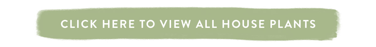Click here to view all house plants