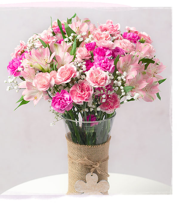 Pink Blush - Only &pound;19.36 delivered