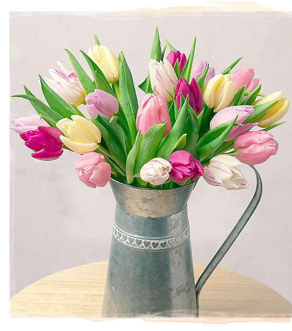 Spring Tulips - Only &pound;21.12 delivered