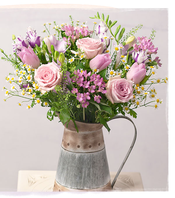 Country Meadow - Only &pound;30.80 delivered
