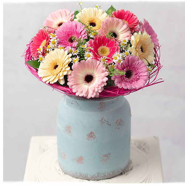 Daisy Dream - Only &pound;26.09