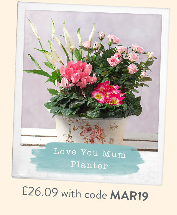 Love You Mum Planter - Only &pound;26.09