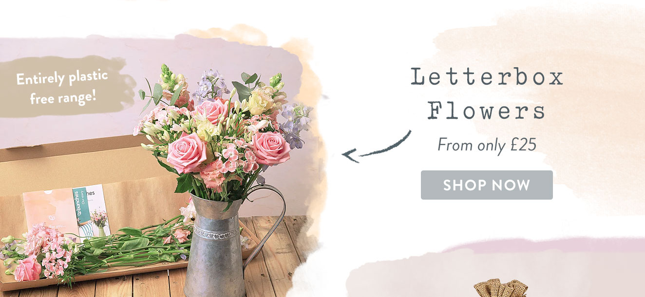 Letterbox Flowers from only &pound;25