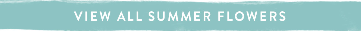View All Summer Flowers Here