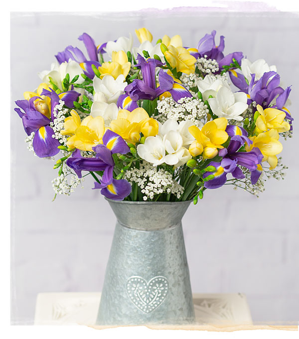 Iris and Freesias - Only &pound;24.30 delivered