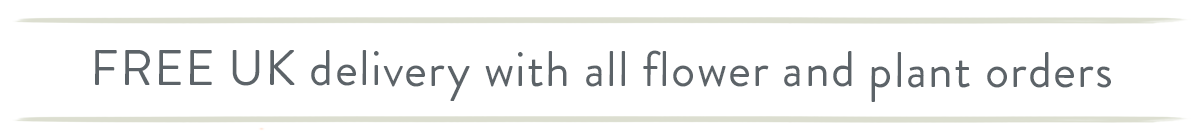 Free UK Delivery with all Flowers and Plants