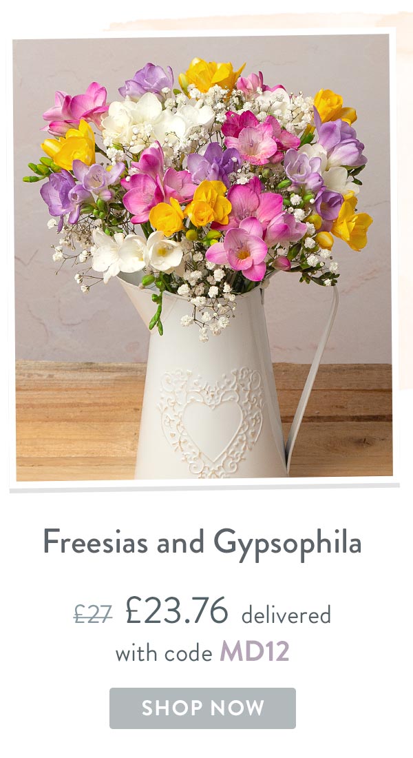 Freesias and Gypsophila - Only &pound;23.76 delivered with code