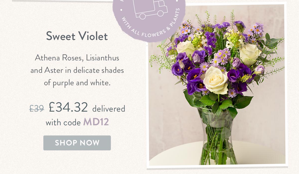 Sweet Violet - Only &pound;34.32 delivered