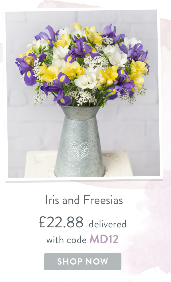 Iris and Freesias - Only &pound;22.88 delivered with code