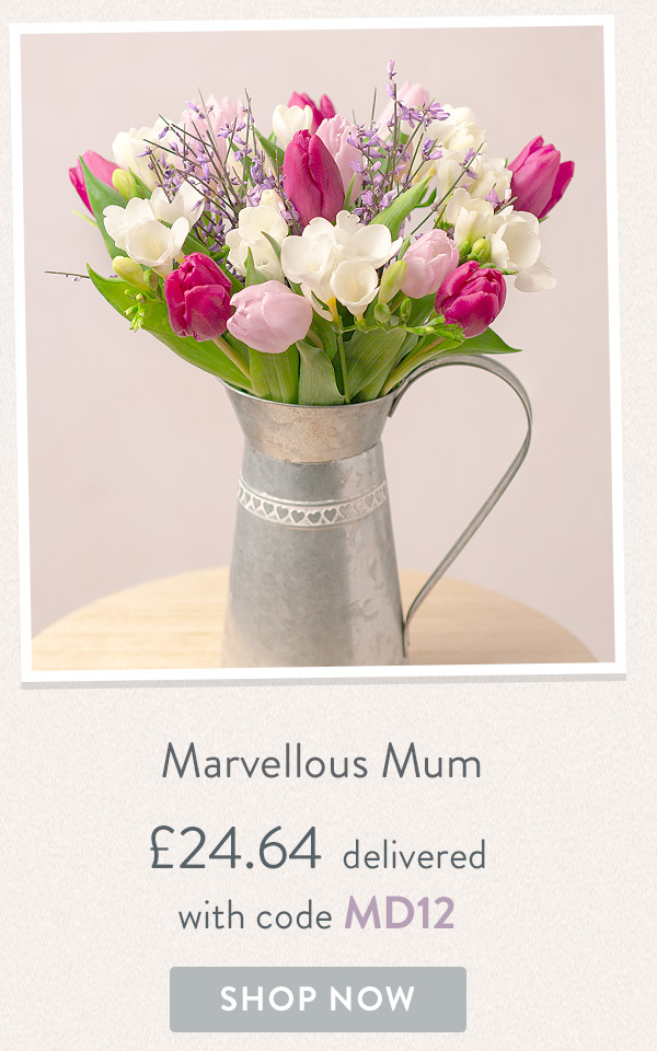 Marvellous Mum - Only &pound;24.64 delivered with code