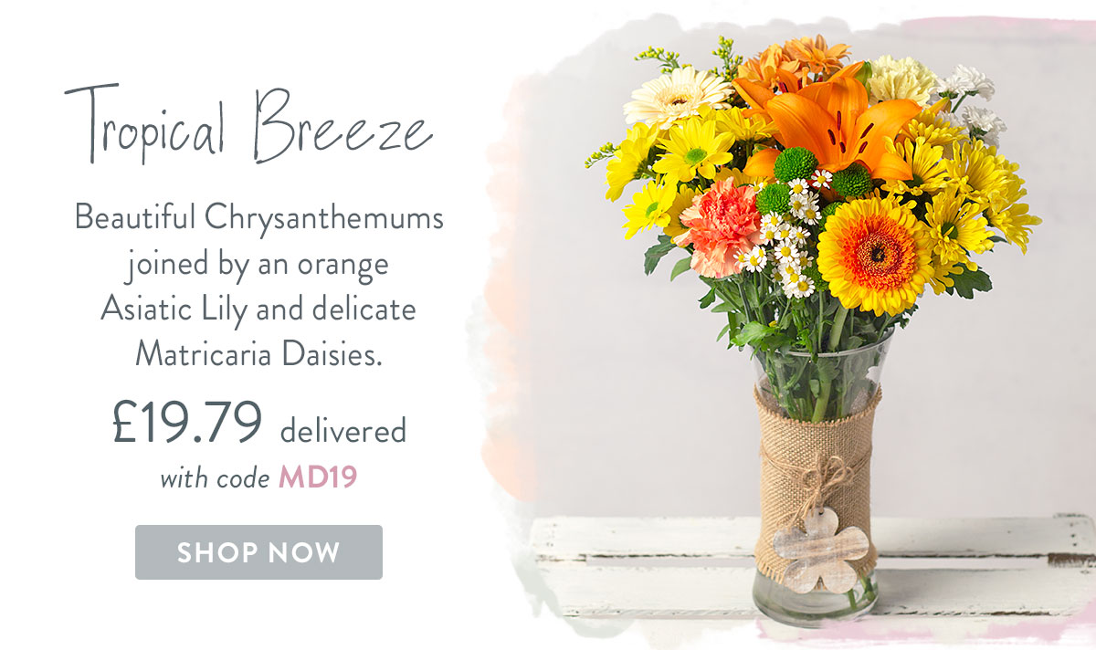 Tropical Breeze - only &pound;19.79