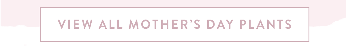 Click here to view all Mother's Day Plants