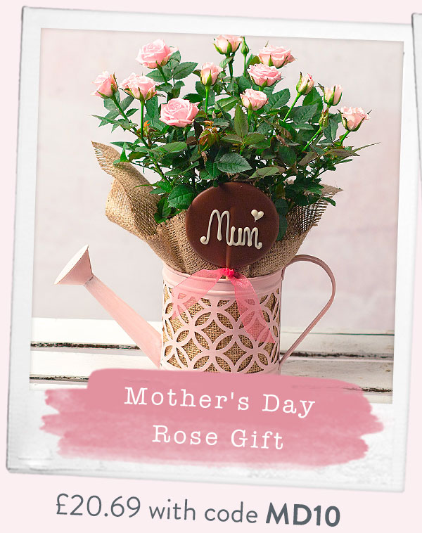 Mother's Day Rose Gift - Only &pound;20.69