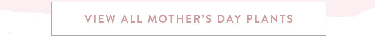 Click here to view all Mother's Day Plants