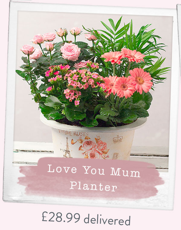 Love You Mum Planter - Only &pound;28.99