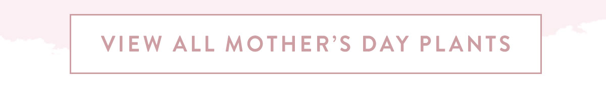 Click here to view all Mother's Day Plants