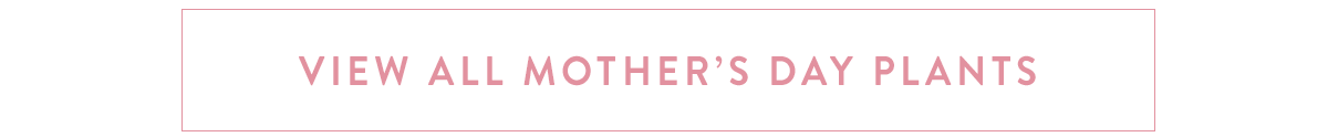 Click here to view all Mother's Day Plants