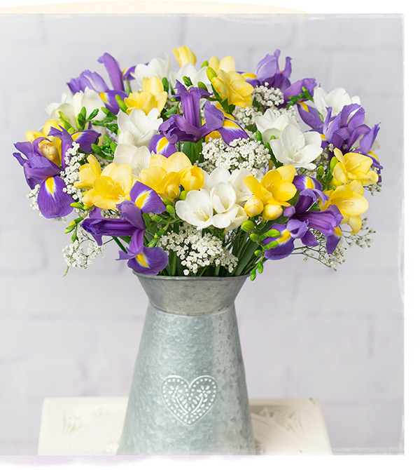 Iris and Freesias - Only &pound;26 delivered