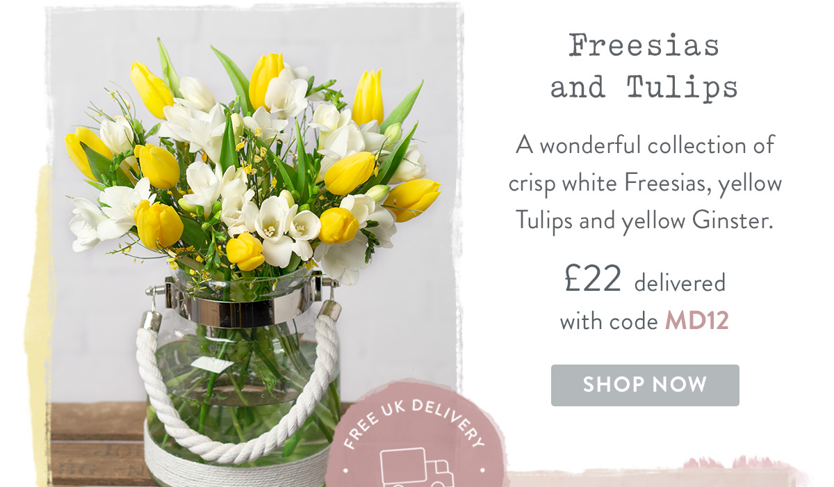 Freesias and Tulips - only &pound;22