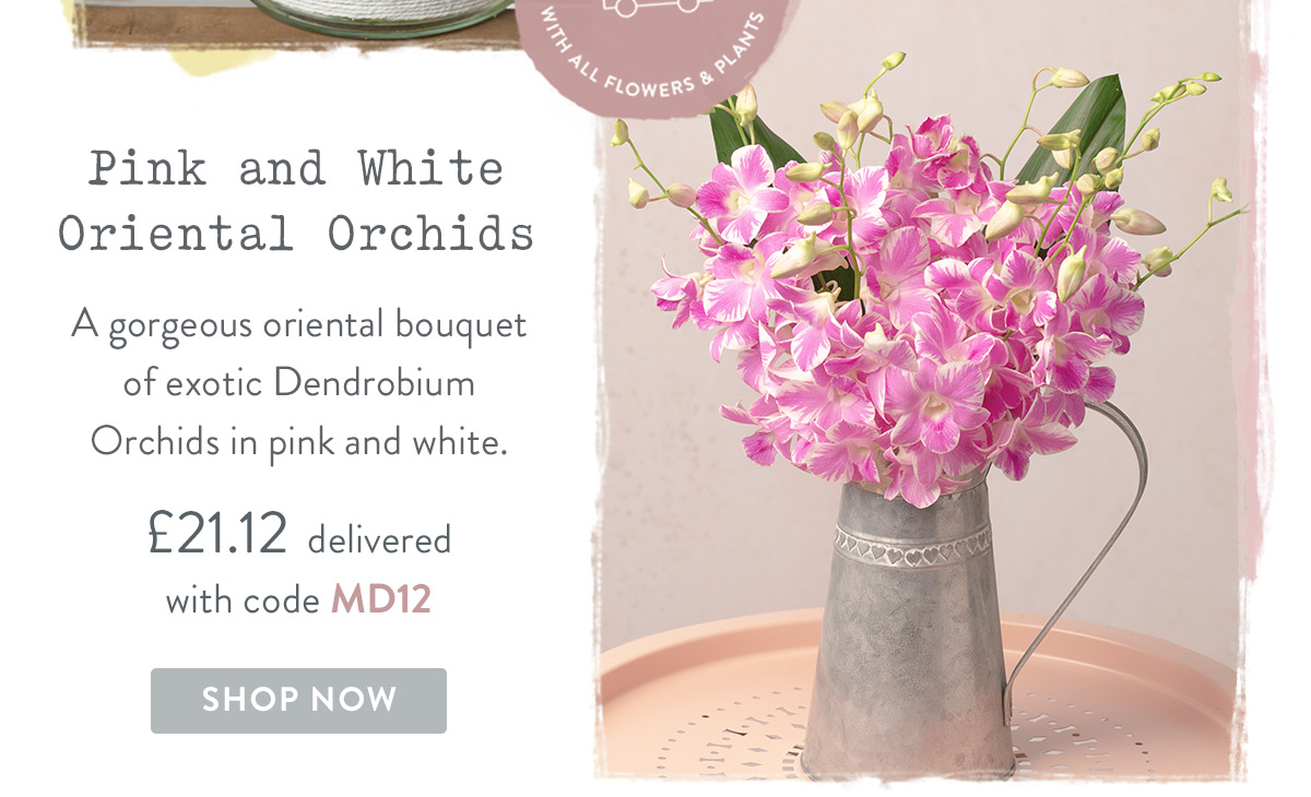 Pink and White Oriental Orchids - only &pound;21.12