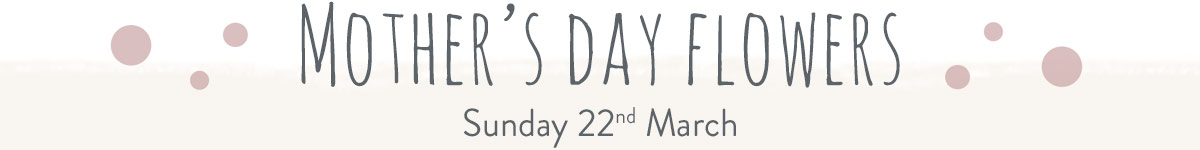 View All Mother's Day Flowers