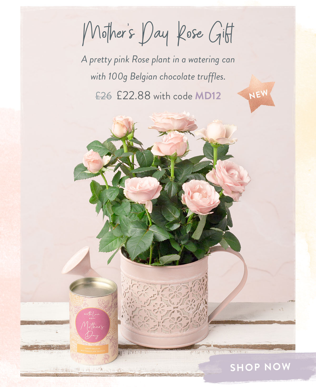 Mother's Day Rose Gift - Only &pound;22.88 with code MD12