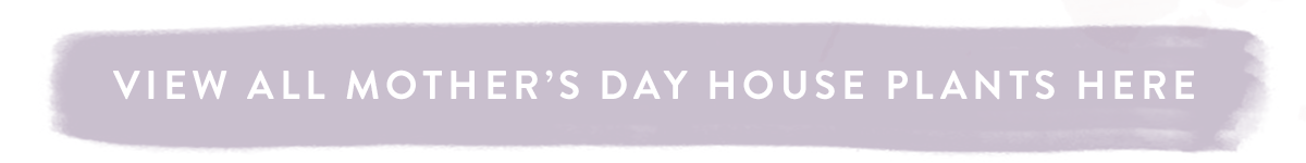 View all Mother's Day house plants here