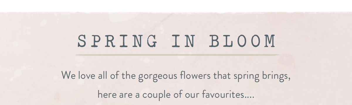 Spring in bloom