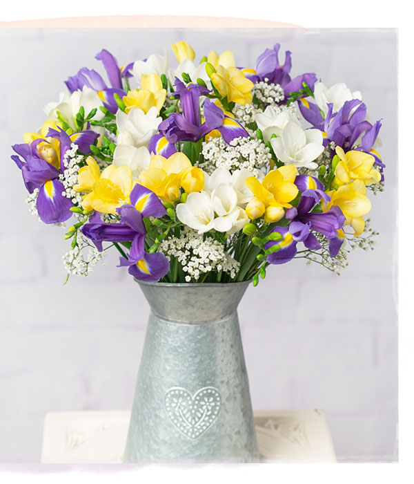 Iris and Freesias - Only &pound;23.40 delivered